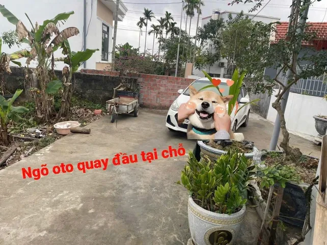04/03/2026.Bán đất 61m² full thổ cư ngang 4,22m giá 770 triệu tại Phường Lưu Kiếm. Lưu Kiếm. liên hệ 0362558882