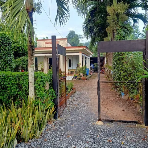Bán nhà vườn đường nhựa 1/Nguyễn Văn Khạ trung tâm xã Phú Hòa Đông Củ Chi TPHCM, DT: 12x70m.