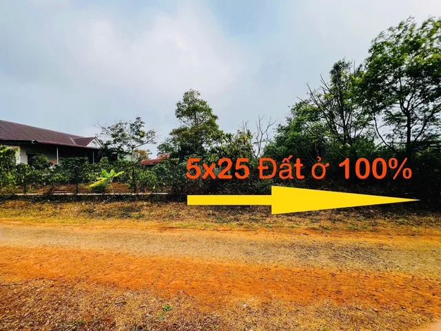 🏡 ĐẤT ĐẸP AN CƯ – HẺM PHAN ĐÌNH PHÙNG