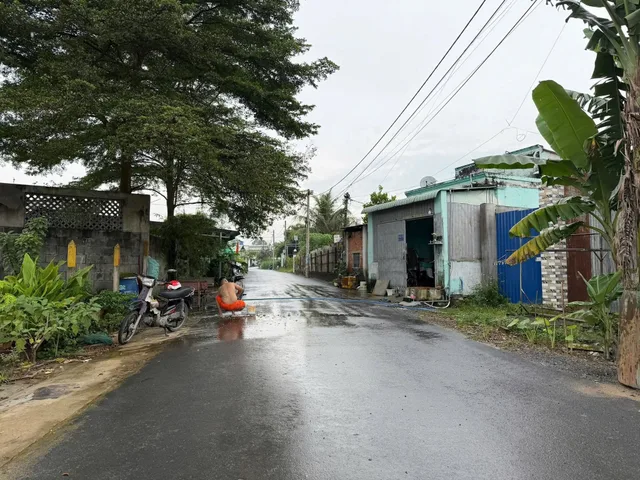 Bán đất thổ cư 1/Hồ Văn Tắng xã Tân Phú Trung Củ Chi TPHCM, DT: 1000m2.
