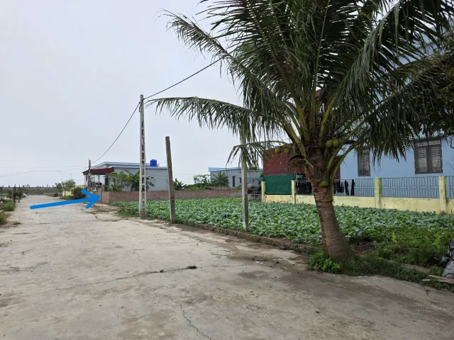 ĐẤT DU LỊCH BIỂN, MẶT ĐƯỜNG TRỤC CHÍNH QUA BIỂN, KINH DOANH SẦM UẤT, Ô TÔ TRÁNH VỈA HÈ