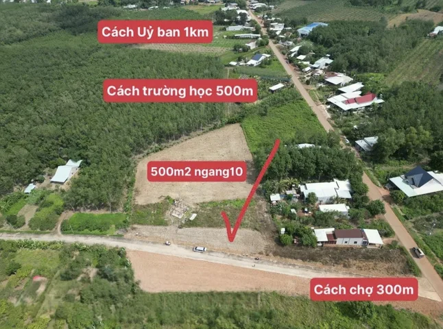 CHỦ GỬI BÁN GẤP 258M2 ĐẤT TÂN LỢI - NGANG 5M - SÁT CHỢ & TRƯỜNG HỌC