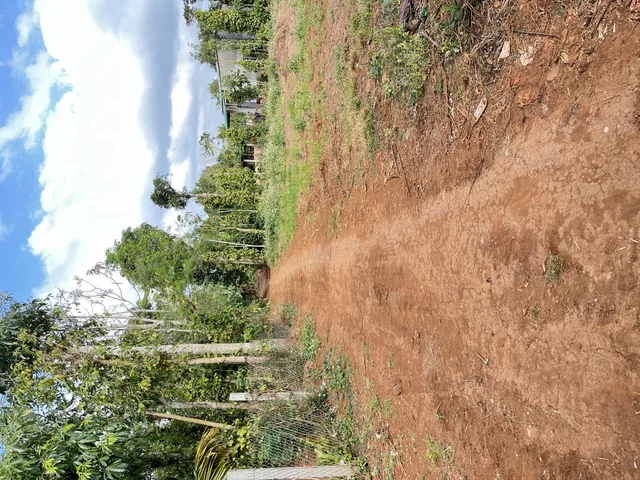 Bán đất 150m² full thổ cư ngang 5m giá 260 triệu tại Xã Cuôr Đăng