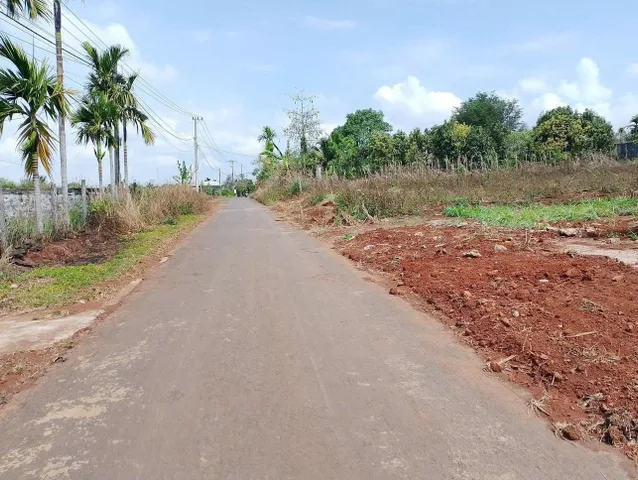 Đất ekao - cách đường Hồ Chí Minh diện tích 140m2 5m giá 999tr