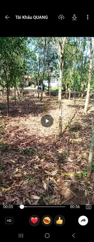 Bán đất 1000m² ngang 19.8m giá 621 triệu tại Xã Phú Vinh ( Phú Tân cũ)