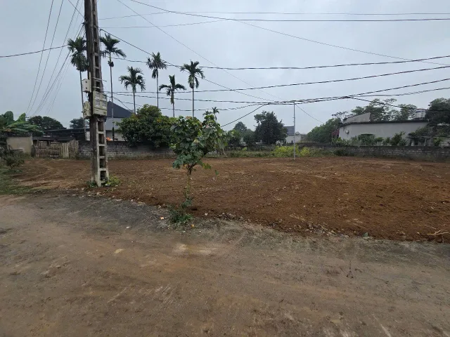 3XX TRIỆU MUA ĐƯỢC GÌ? MUA ĐẤT TRUNG TÂM!