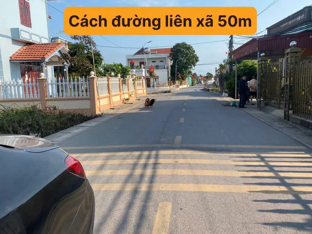 BÁN LÔ ĐẤT BIỂN NGAY SÁT KHU KINH TẾ NINH CƠ, HẢI HẬU, NAM ĐỊNH