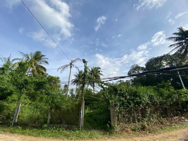 Bán đất 2716.9m² có sẵn 200m² thổ cư ngang 49m giá 9.5 tỷ tại Phường Cam Ranh