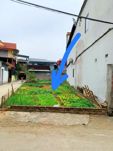 TRUNG TÂM CHÚC SƠN-BÁN GẤP