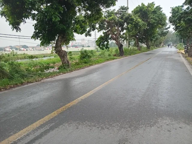 Gần vin2,3 ,dự án fullton đất như Quỳnh giá rẻ