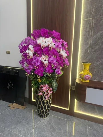 Bán đất 66.2m² có sẵn 50m² thổ cư ngang 4m giá 3.35 tỷ tại Phường Nông Trang