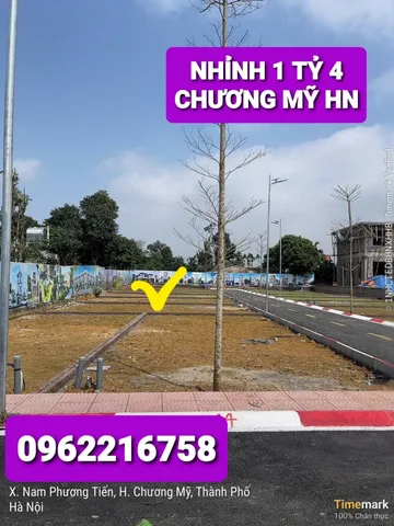 GIÁ TUYỆT CHỦNG Ở CHƯƠNG MỸ LUÔN NHỈNH 1 TỶ