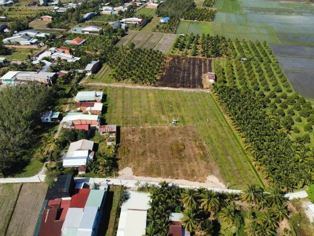 Đất Thị Trấn Gò Dầu, Sổ Hồng Riêng Chỉ 565 Triệu