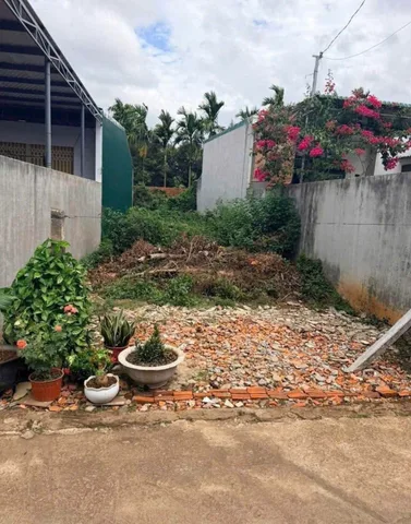 Bán lô đất chân dài siêu đẹp siêu rẻ phường ea tam diện tích 150m2 5m giá 1ty650