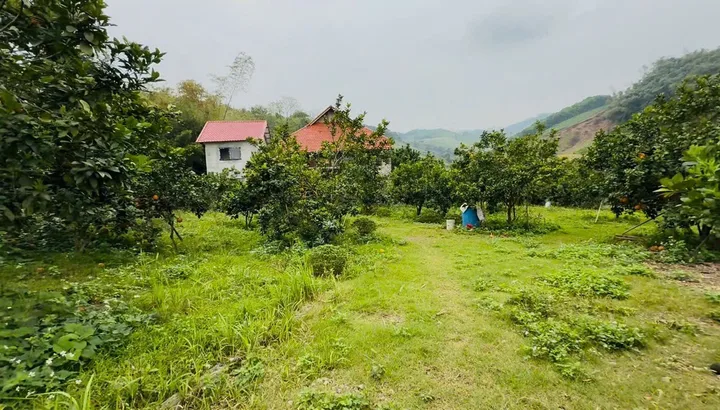 BÁN GẤP KHU NHÀ VƯỜN 2.500m CÓ SẴN HOMESTAY(nhà sàn) + BỂ BƠI Giá Chỉ Nhỉnh 3 Tỷ