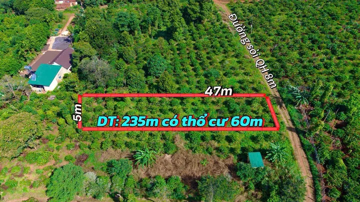 Ea Kiết – Cư M’gar – Đắk Lắk
✅ Diện tích: 5 × 45 m__Có sẵn 60 m² thổ cư
✅ Đường quy hoạch 8 m
✅ Cách UBND xã, Công an xã, chợ Ea Kiết, trường học khoảng hơn 1 km
✅ Khu dân cư đông đúc, an ninh tốt
💰 Giá bán: 219 triệu