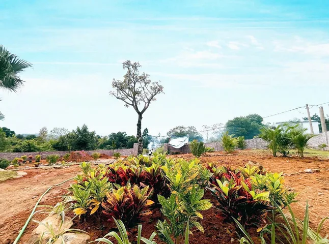 863m làm nhà vườn nghỉ dưỡng
