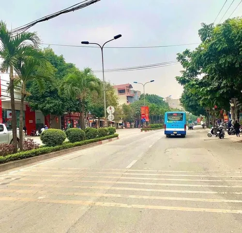 Chính chủ cần bán 168,1m có 120m thổ cư mặt phố chùa thông sơn tây