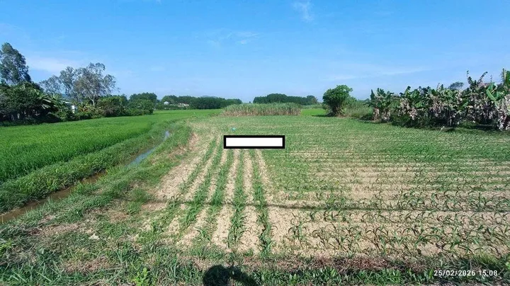 📌📌📌LÀM VIỆC TRỰC TIẾP GIÁ TỐT !!! Bán đất thôn Ninh An, xã Hòa Nhơn