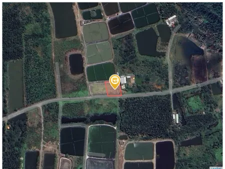 Bán đất 784m² ngang 28m giá 3 tỷ tại Xã Tân Tập
