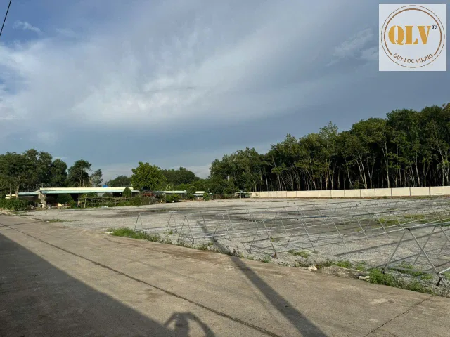 Cho thuê nhà xưởng Phước Hòa, Phú Giáo, Bình Dương 10.000m²