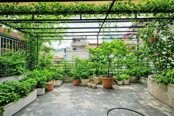 Sống chậm giữa nội đô – Nhà phân lô quân đội Hoàng Văn Thái có sân vườn, mặt ngang rộng 6m cực hiếm