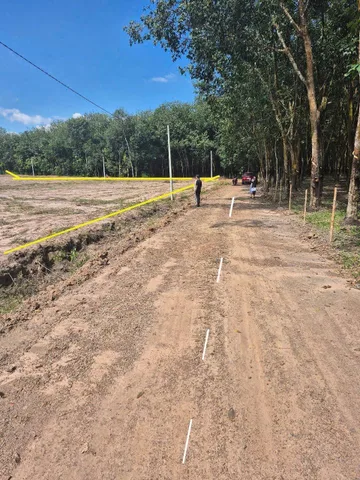 Bán đất 300m² có sẵn 50m² thổ cư ngang 5m giá 350 triệu tại Xã Nha Bích