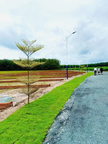 Bán đất 300m² có sẵn 50m² thổ cư ngang 5m giá 350 triệu tại Xã Nha Bích
