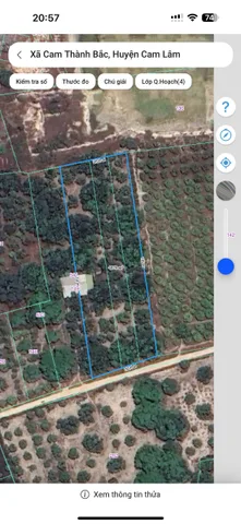 CAM THÀNH BẮC -- 4000 M2 -- 36 X 114 -- FULL XOÀI -- GIÁ 620 TRIỆU.SÀO