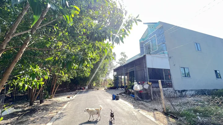Đất thị trấn Phước Bửu , chỉ 180tr/m đường nhựa