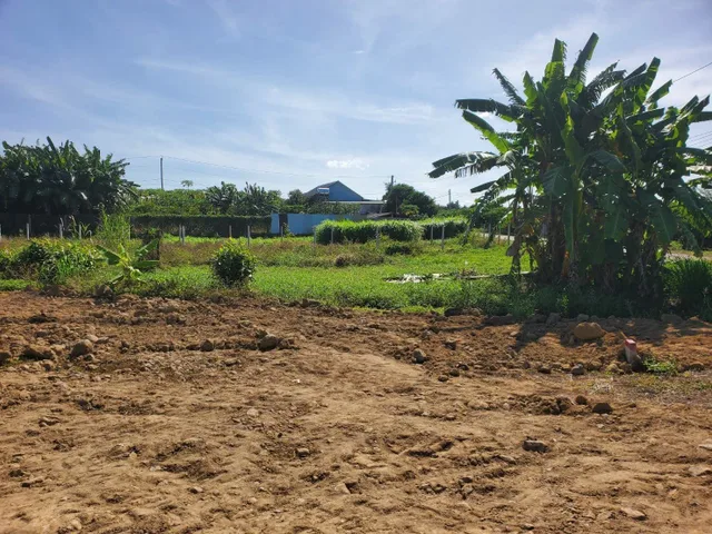 🔥 KHÁCH XÂY NHÀ XEM NGAY LÔ NÀY Ạ !!

🛣 ĐƯỜNG NHỰA GẦN HỒ ĐÁ BÀNG MÀ GIÁ CHỈ 570 TRIỆU !!