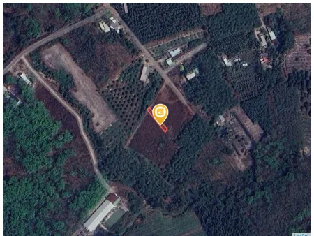 Bán đất 213.5m² có sẵn 100m² thổ cư ngang 5m giá 690 triệu tại Xã Long Hòa