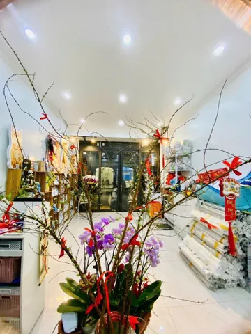 Cho thuê nhà khu Hồng Bàng - Hải Phòng - có thang máy hợp kinh doanh - spa - văn phòng