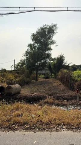 Bán đất thổ cư mặt tiền Giồng Cát xã Tân Phú Trung Củ Chi TPHCM, DT: 5x35m. Giá chỉ: 2,3 tỷ.
