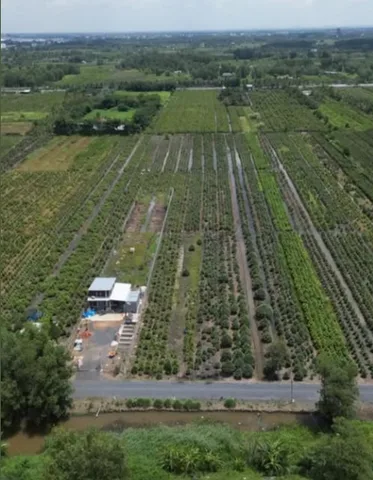 Chính chủ cần bán 1.000m2 đất nông nghiệp TPHCM