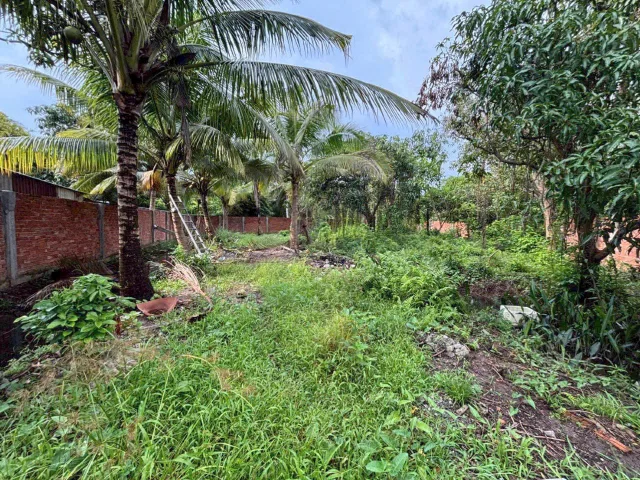 🏠1500m2 MẶT TIỀN LỘ VÒNG CUNG, PHƯỜNG AN BÌNH, TP CẦN THƠ. ( cách chợ Mỹ Khánh 950m ).