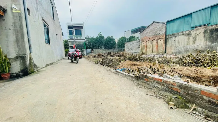 Chi 1.x tỷ có ngay lô đất 55m2 ở cát lư, Lạc đạo, ngay vành đai 4, ô tô vào: 0835459289