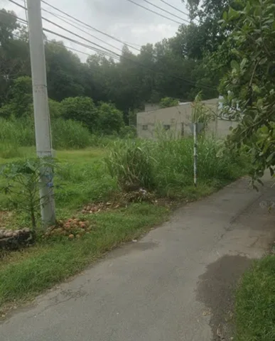 Bán đất mặt tiền nhựa 1/Tỉnh Lộ 8 trung tâm xã Tân Thạnh Tây Củ Chi TPHCM, DT: 36x46m.