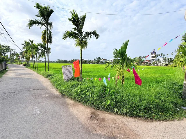 Bán Đất 2 mặt tiền đường Quang Châu, Hoà Xuân, view cánh đồng lúa thơ mộng 👉 3,250 tỷ