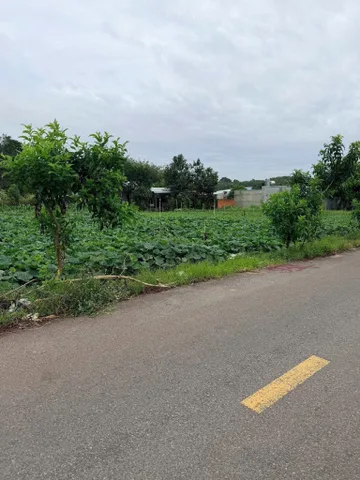 Bán đất ở Trừ Văn Thố, Bàu Bàng 500m2, 820tr, có sổ, thuận tiện đi lại