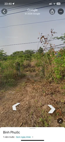 Bán đất 387m² có sẵn 100m² thổ cư ngang 7m giá 400 triệu tại Đường Nhựa Xã Tân Lợi