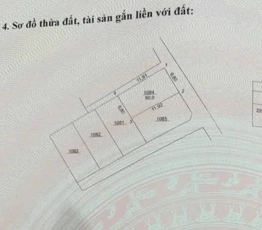 🥰 F0 ĐƯỜNG THÔNG OTÔ 🥰