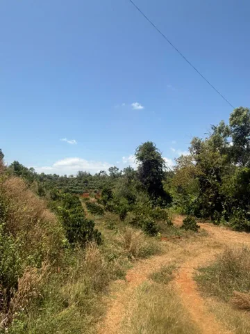 Bán đất 1🌳🌳 1HA ĐẤT RẪY VIEW SUỐI – CƯ SUÊ 🌿🌿Xã Quảng Phú