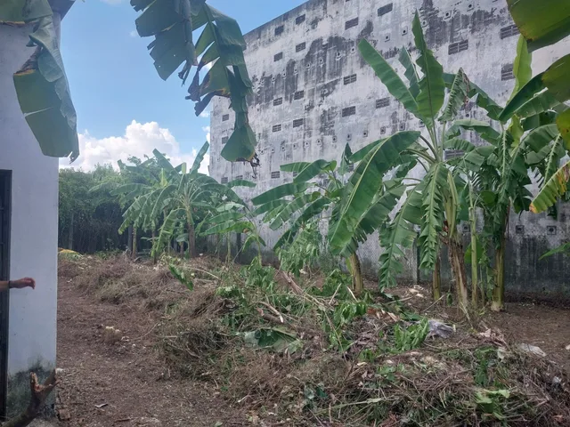 Bán đất 218,8m² có sẵn 188,5m² thổ cư ngang 10m giá 3.3 tỷ tại Phường Đạo Thạnh