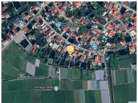 Bán 1166m đất, Mặt tiền : 16,5m.Tại : Tự Cường - Tiên Lãng - Hải Phòng