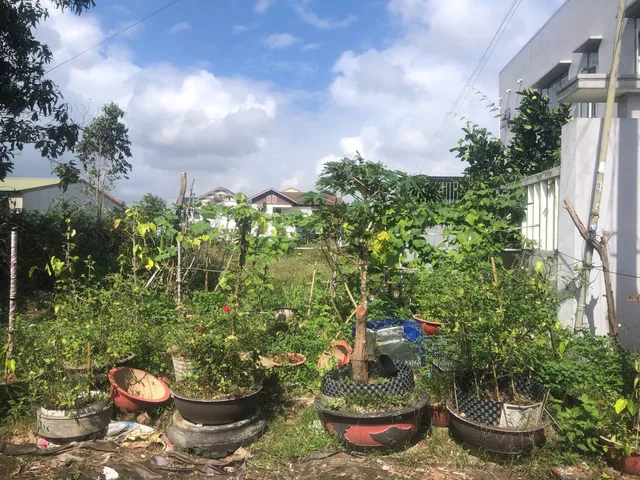 Bán đất thổ cư tại 7/31 Ngô Đăng Sở, P.Phú Bài, Hương Thuỷ, TP Huế.
