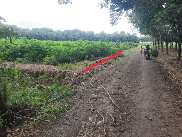 Bán đất 1031.2m² ngang 9.07m giá 280 triệu tại Xã Tân Hội