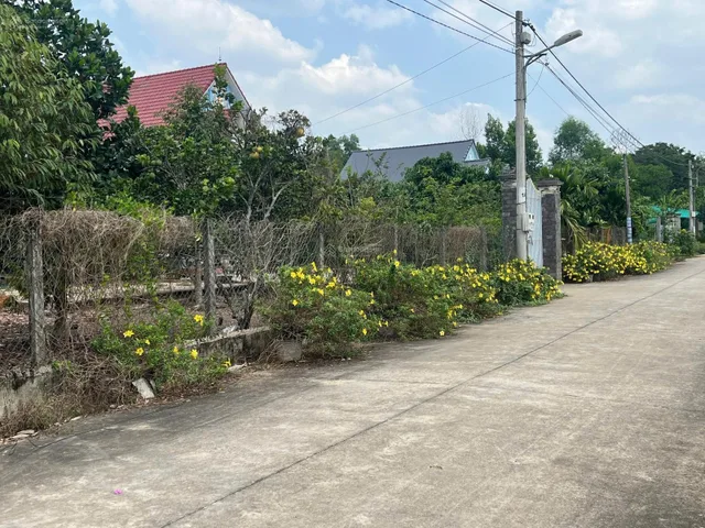 Chính Chủ Bán Đất Ngay Khu Dân Cư Đông, Đất rộng 525m2 Thổ Cư , Giá 580 triệu, Có sổ sẵn