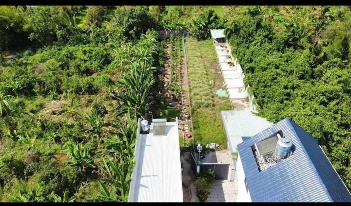 Bán nhà 850m² có sẵn 120m² thổ cư ngang 10m giá 9 tỷ tại Phường An Bình
