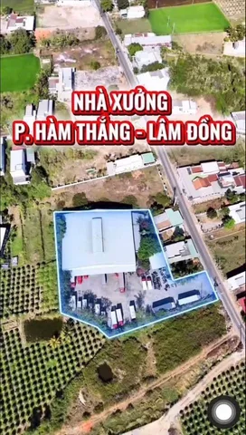 Bán nhà kho đường Lại An Cây Trôm Hàm Thắng